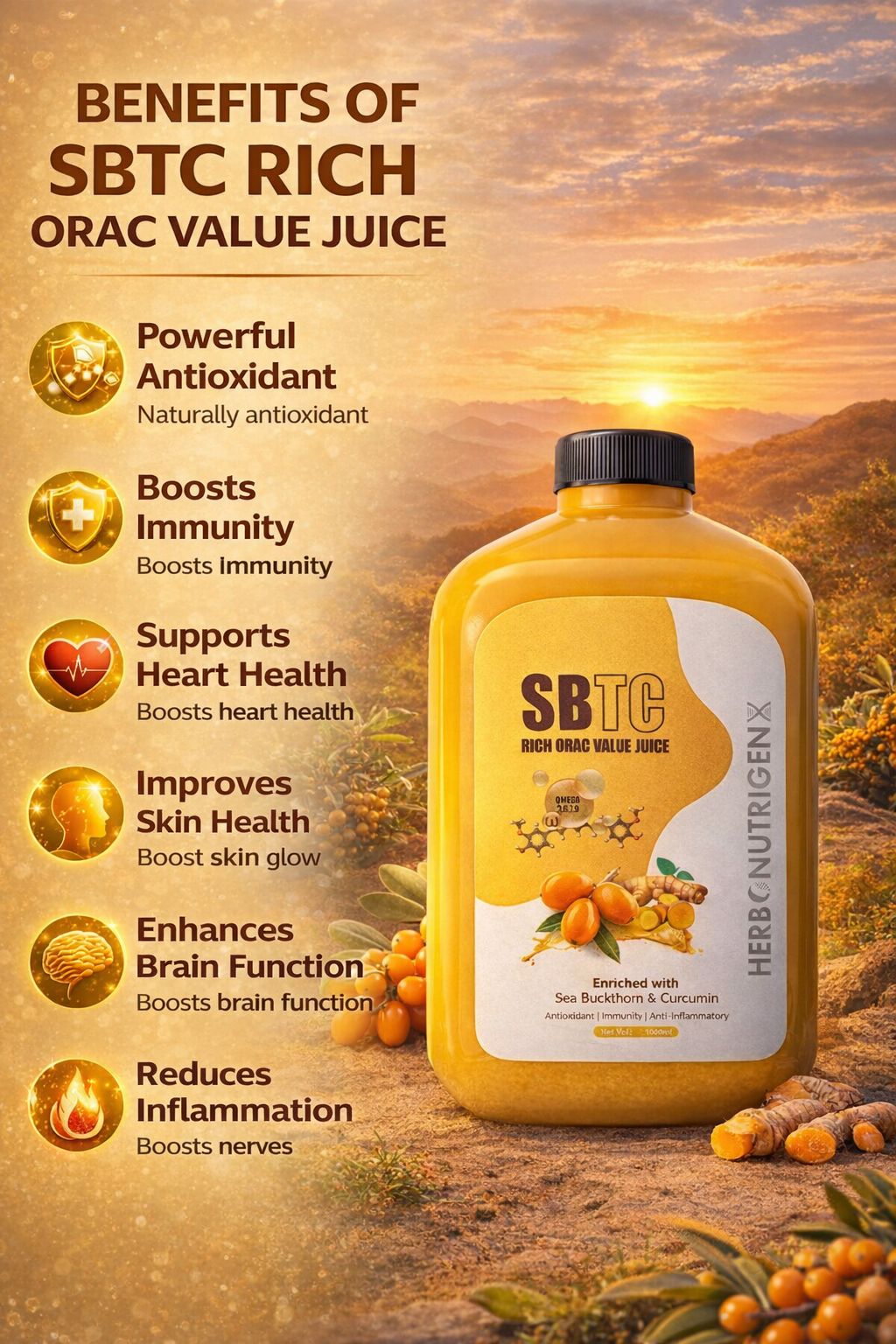 Sea Buckthorn & Curcumin Juice Rich ORAC Value Juice 1000ML | Powerful Antioxidant | Rich in Omega 3,6,7,9 | Immunity Booster | Detox Support | Anti-Inflammatory | Vitamins & Minerals & All Essential Amino Acids | Sugar Free I Men & Women.